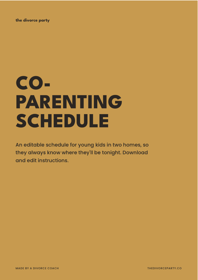 Co-Parenting Schedule cover